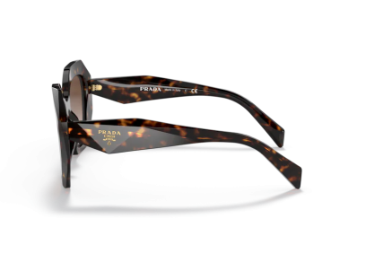 PRADA Tortoise (16WS)