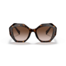 PRADA Tortoise (16WS)