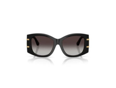 DOLCE GABBANA (4501)