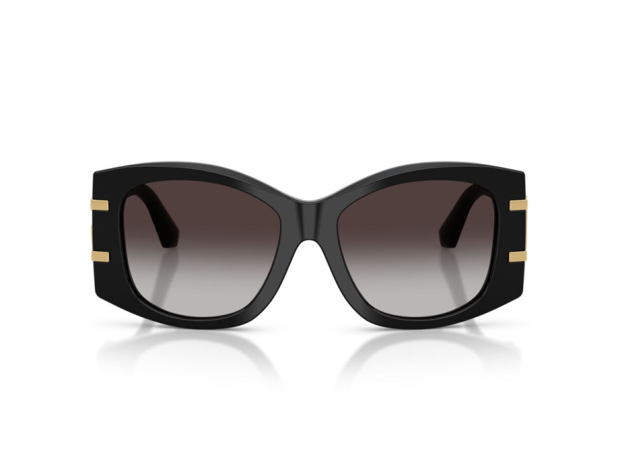 DOLCE GABBANA (4501)