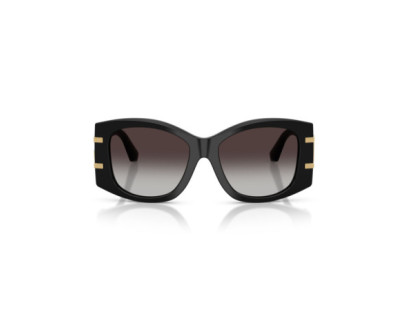 DOLCE GABBANA (4501)