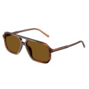 DOLCE GABBANA (4541)