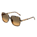 DOLCE GABBANA (4539)