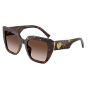 DOLCE GABBANA (4538)
