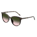 DOLCE GABBANA (4540)