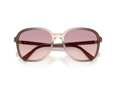 MIU MIU (B01)