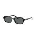 RAY BAN (4455)