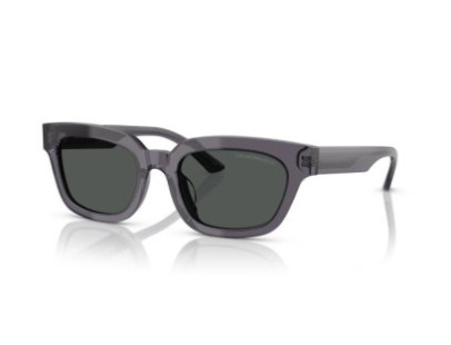 EMPORIO ARMANI (4233)