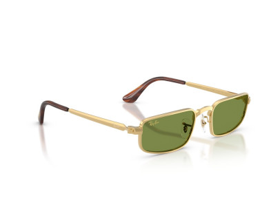ray ban (3927)