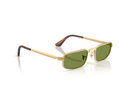 ray ban (3927)