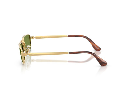 ray ban (3927)