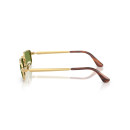 ray ban (3927)
