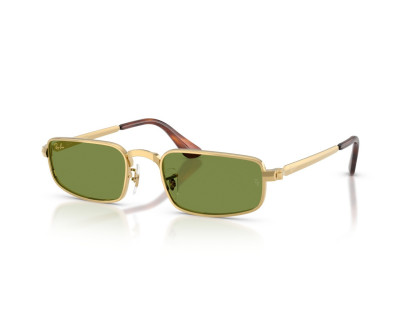 ray ban (3927)