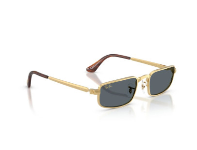 RAY BAN (3927)