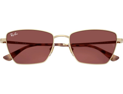 RAY BAN (3783)