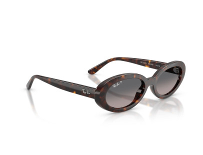 RAY BAN (2223)