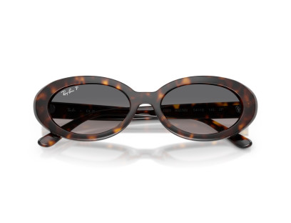RAY BAN (2223)