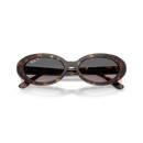 RAY BAN (2223)
