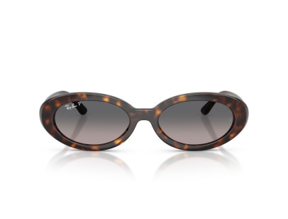 RAY BAN (2223)