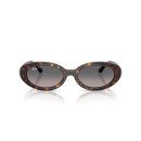 RAY BAN (2223)