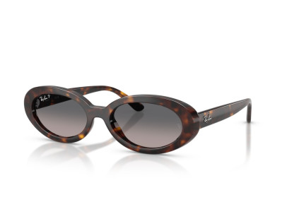 RAY BAN (2223)