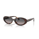 RAY BAN (2223)