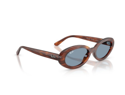 RAY BAN (2223)