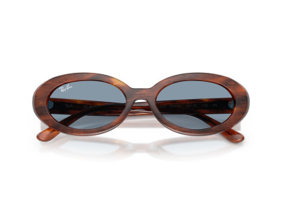 RAY BAN (2223)