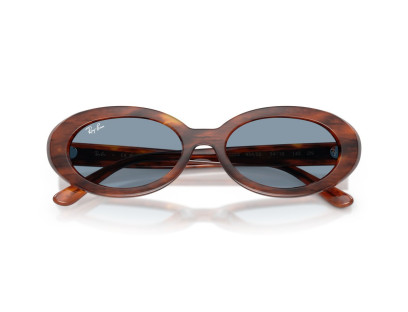 RAY BAN (2223)