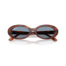 RAY BAN (2223)
