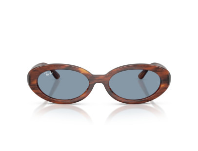 RAY BAN (2223)