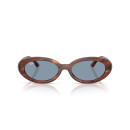 RAY BAN (2223)