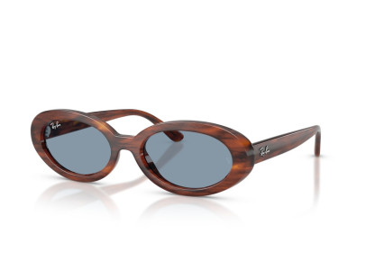 RAY BAN (2223)