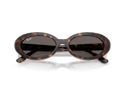 RAY BAN (2223)
