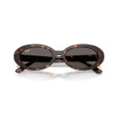 RAY BAN (2223)