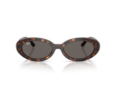 RAY BAN (2223)