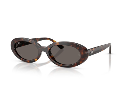 RAY BAN (2223)