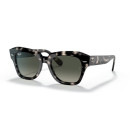 RAY BAN  (2186)