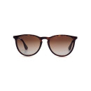 RAY BAN (4171)
