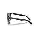 RAY BAN (4547)
