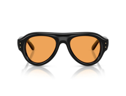 RAY BAN (4925)