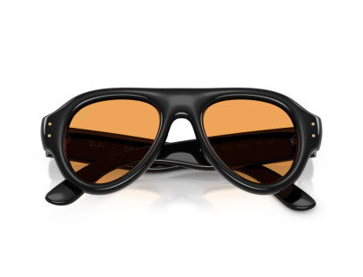 RAY BAN (4925)