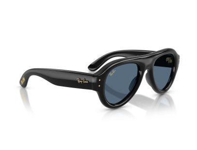 RAY BAN (4925)