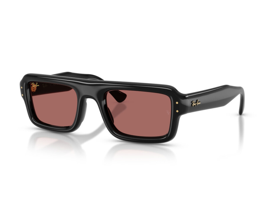 RAY BAN (4954)