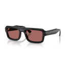 RAY BAN (4954)