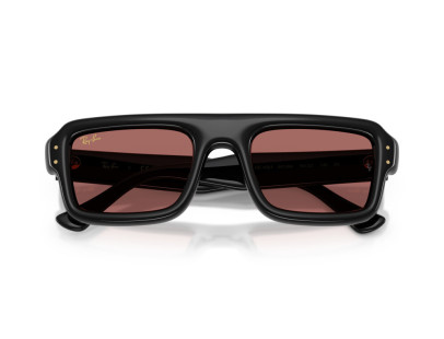 RAY BAN (4954)