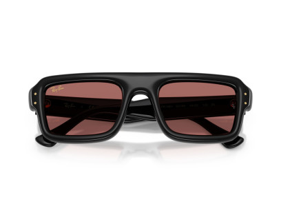 RAY BAN (4954)
