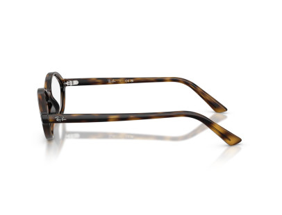 RAY BAN (7265)