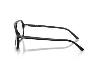 RAY BAN (5698)