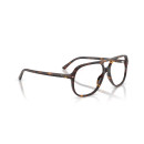 RAY BAN (5698)